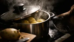 Dürfen Hunde Kartoffeln essen? Gekocht ja, roh besser nicht