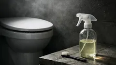 Toilettenrand reinigen mit Essig: so entfernst du Kalk unter dem Rand schnell und gründlich