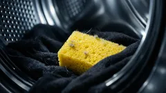 Küchenschwamm in der Waschmaschine: So entfernst du Tierhaare und Flusen einfacher